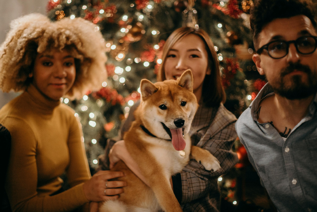 Rabattkod BestPet Julklapp