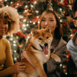Rabattkod BestPet Julklapp